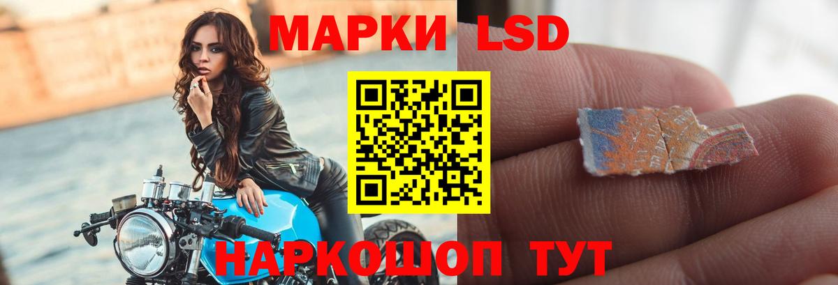LSD-25 экстази  Лсд 25 экстази ecstasy  Вход с VPN  Новозыбков 