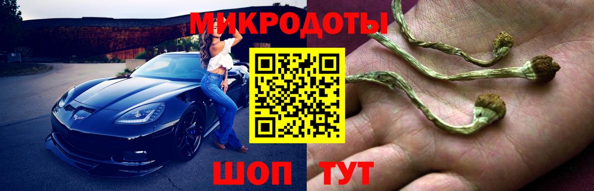 Псилоцибиновые грибы Psilocybine cubensis  Вход с VPN  Новозыбков 