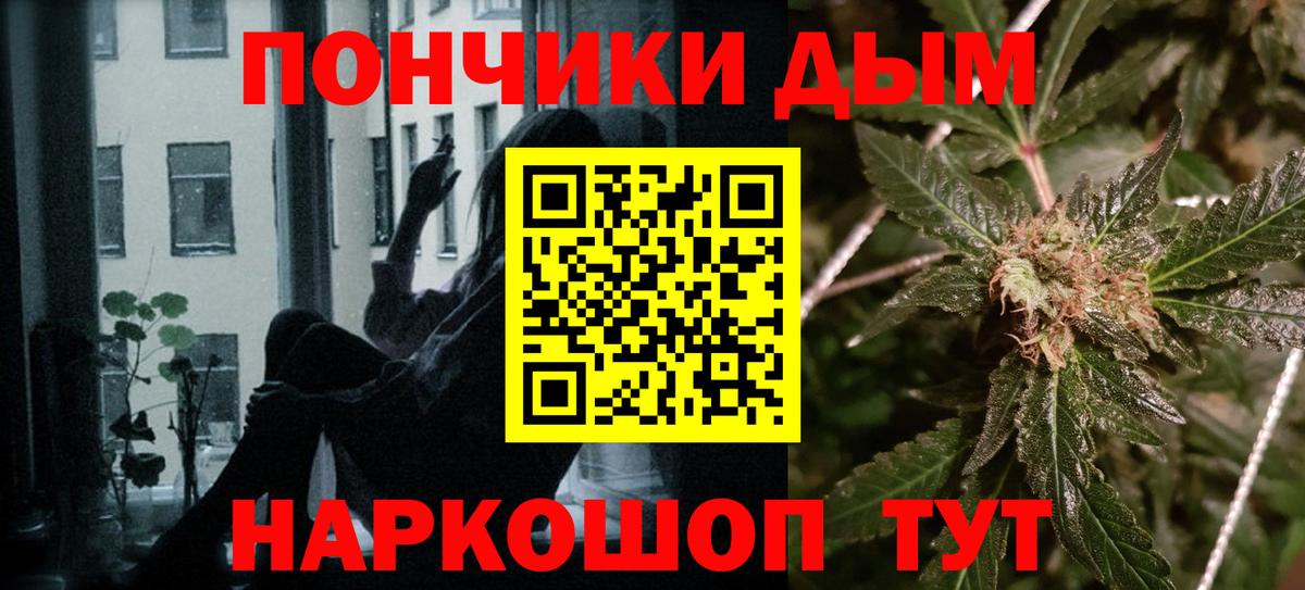 Марихуана сатива Новозыбков